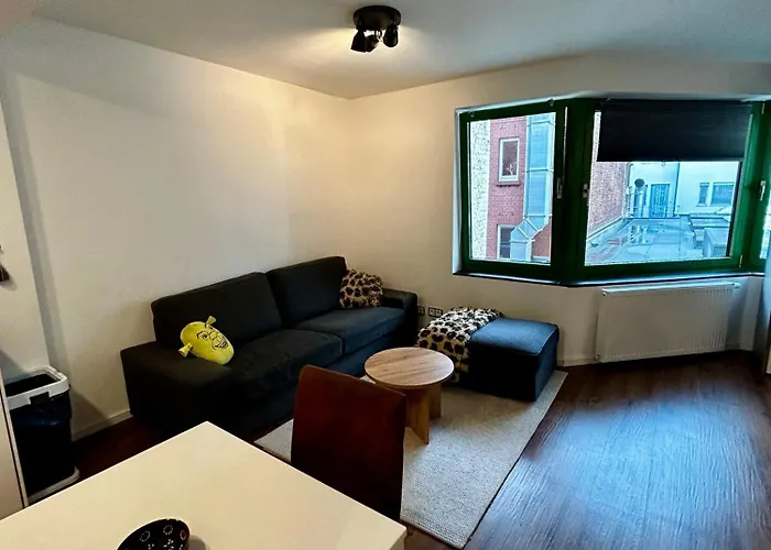 公寓 Modernes In Der Innenstadt *