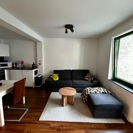 アパート Modernes In Der Innenstadt